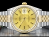 Rolex Datejust 36 Champagne Jubilee Crissy Dial 16233 